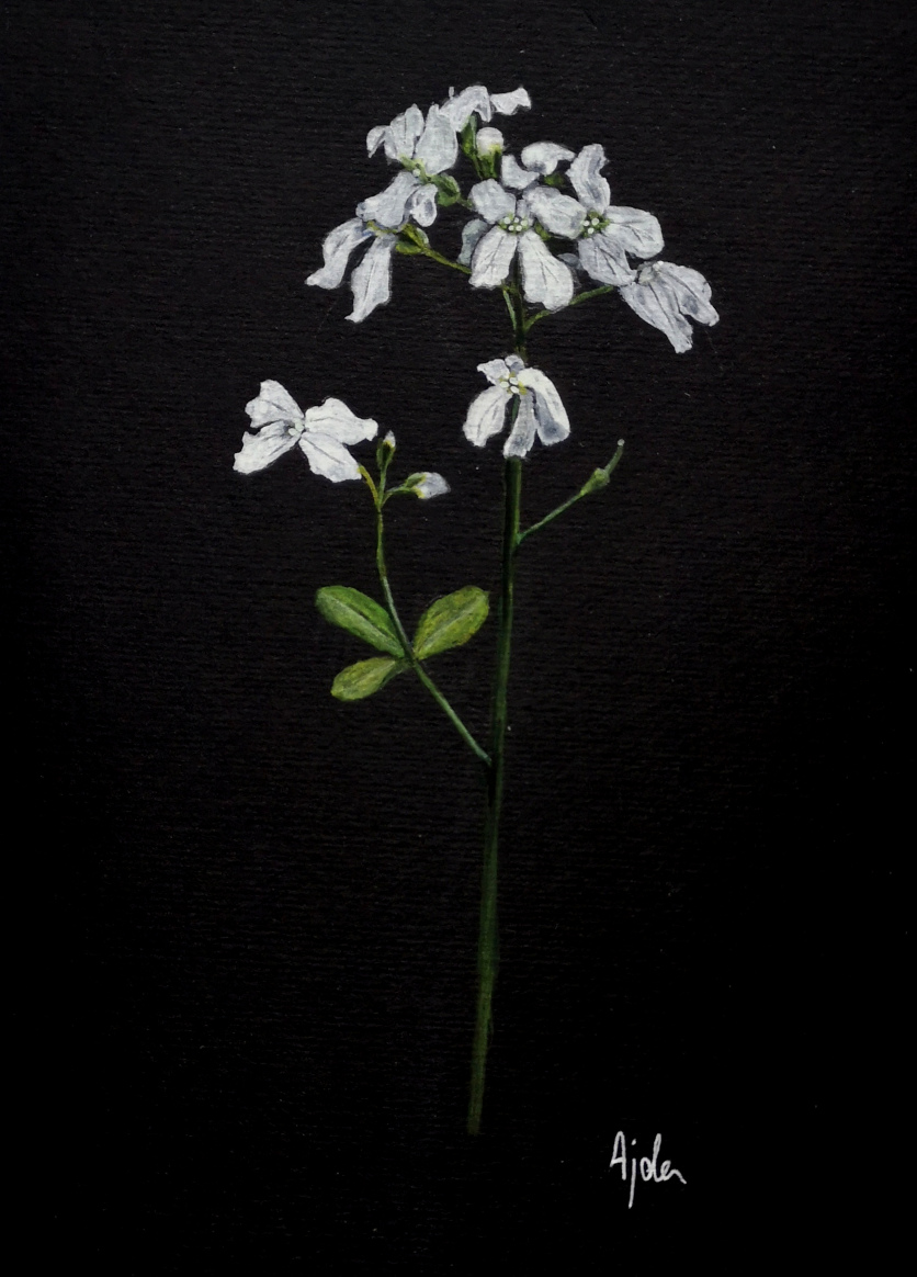 a watercolor painitng