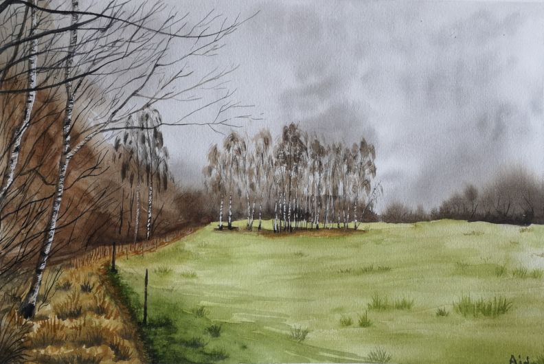 a watercolor painitng