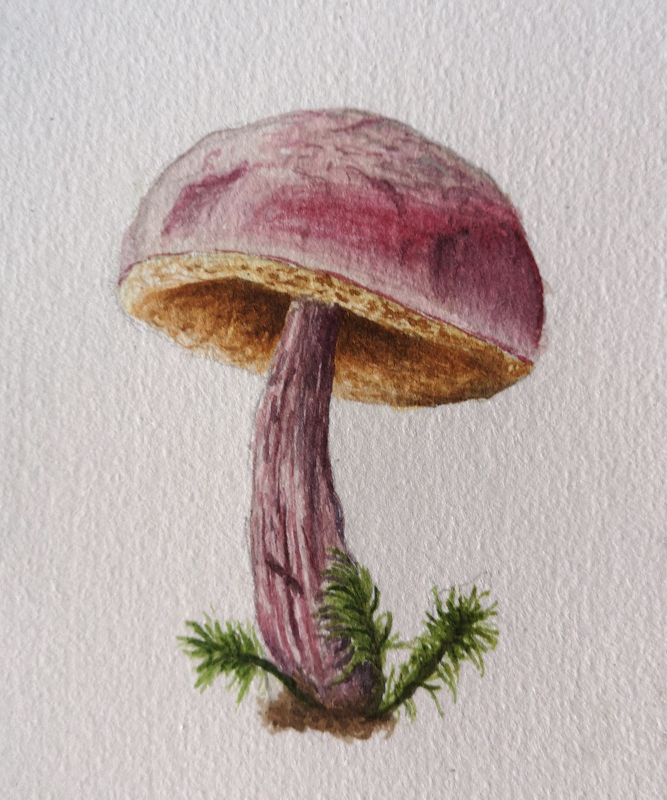 a watercolor painitng