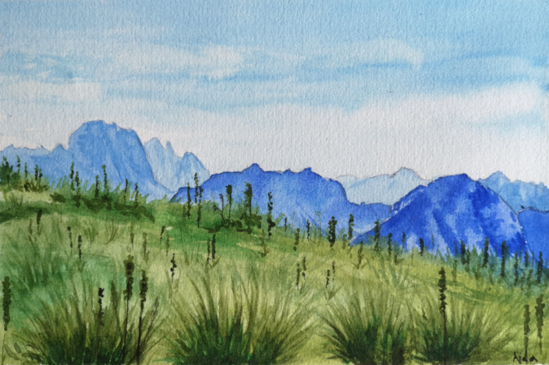 a watercolor painitng