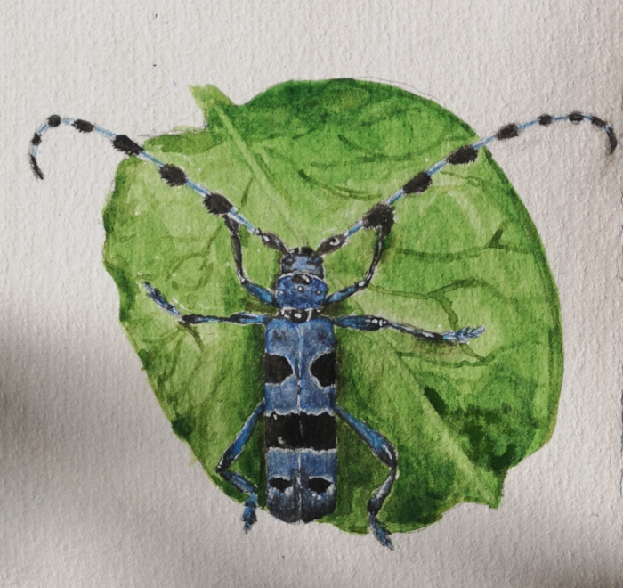 a watercolor painitng