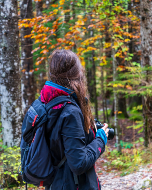 A photo of me, Ajda, facing away from the camera in a beautiful autumin forest